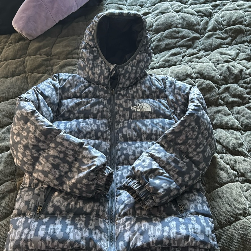 The North Face winter coat